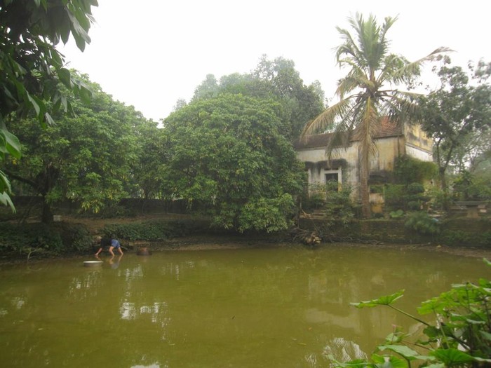 Đào ao thả cá ngay tại nhà, một hoạt động cải thiện đời sống cũng như tăng sự điều hòa của cảnh quan môi trường.